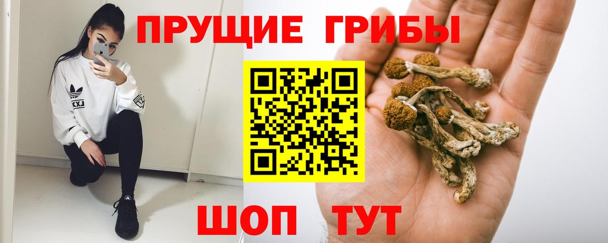 Холмск  Псилоцибиновые грибы прущие грибы  Псилоцибиновые грибы мухоморы  Вход с VPN 